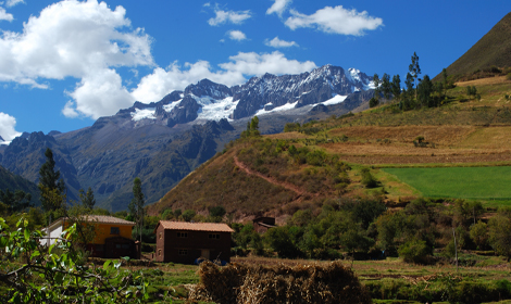 LSP0003336 - Cusco -Nevádo Chicón y cultívos