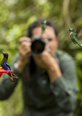 Birdwatching-Mashpi-Lodge-Atelier-South-America